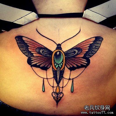 女性背部school蝴蝶纹身图案