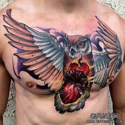 胸口猫头鹰纹身图案