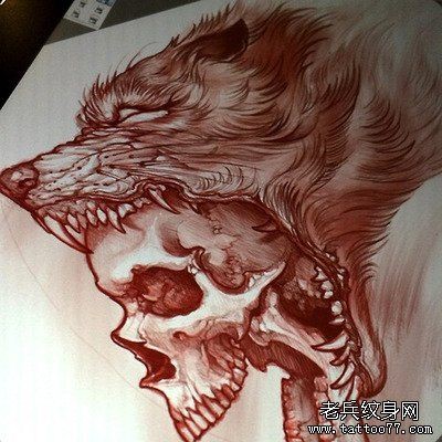 狼头骷髅头纹身手稿图案