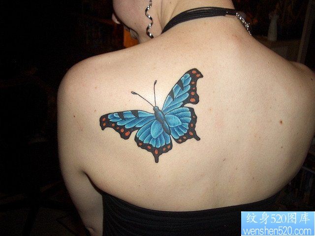 小清新肩部蝴蝶纹身图案