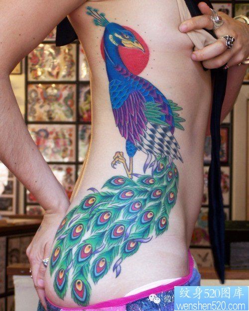 女性侧腰孔雀纹身图案
