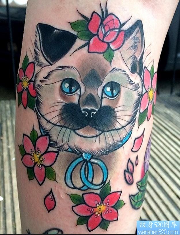 腿部彩色猫咪花纹身图案