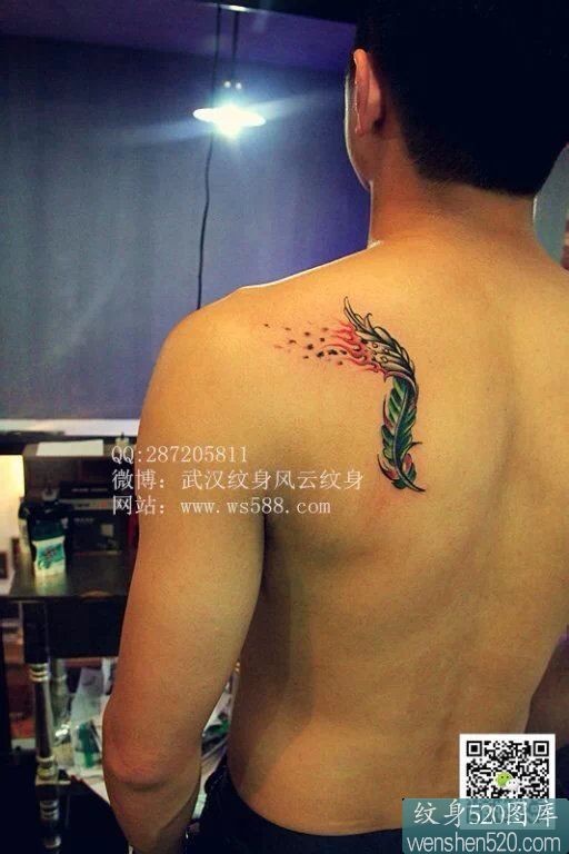 一款时尚唯美羽毛刺青套图