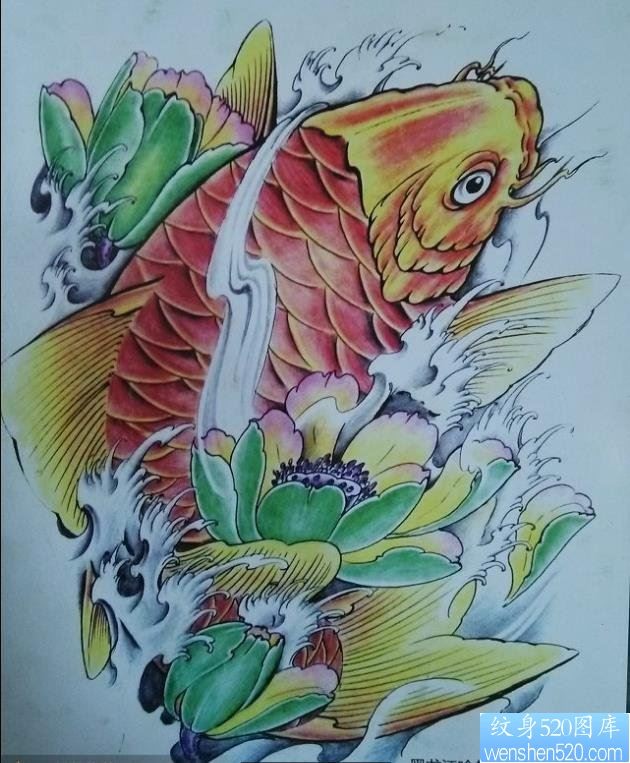 一款传统莲花鲤鱼纹身图案