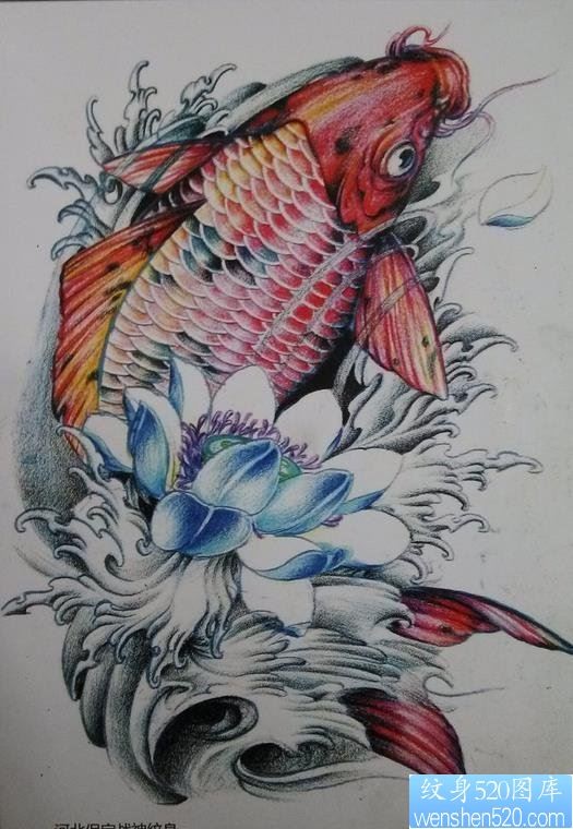 彩色传统莲花鲤鱼纹身图案
