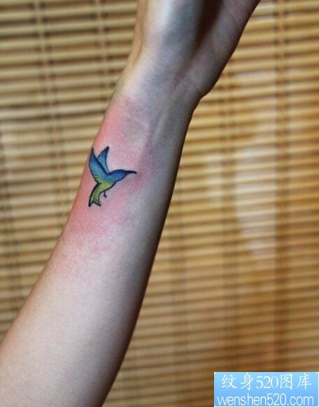 手腕彩色蜂鸟纹身图案