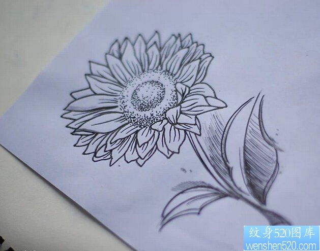 一款向日葵纹身手稿图案