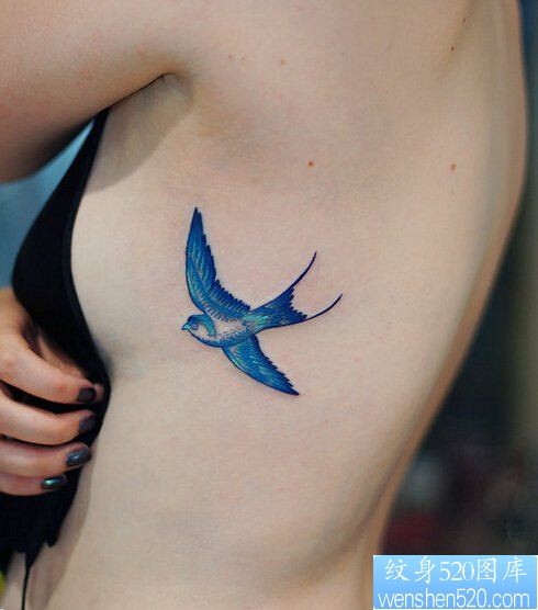 女性腰部蓝色飞燕纹身图案