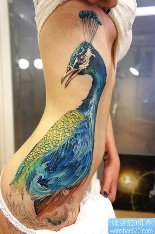 一款女性腰部孔雀纹身图案