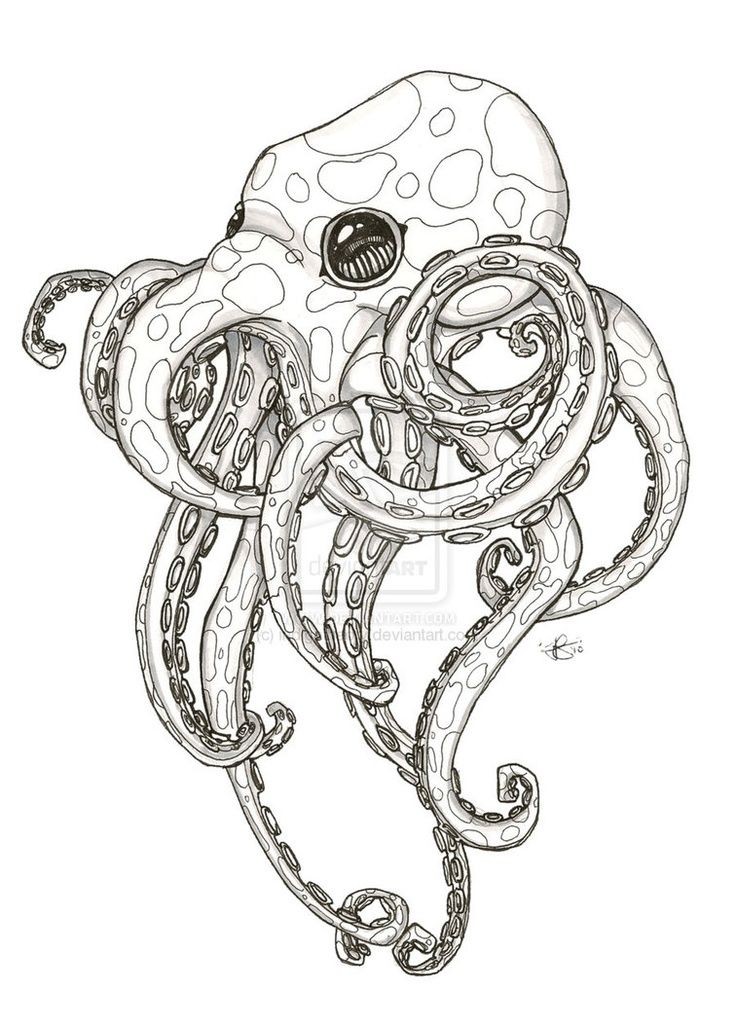 一款漂亮的章鱼纹身手稿