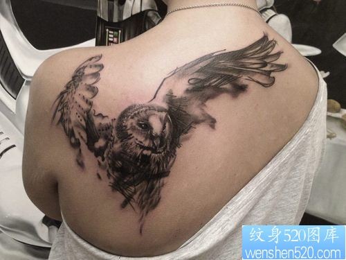 肩部猫头鹰纹身图案