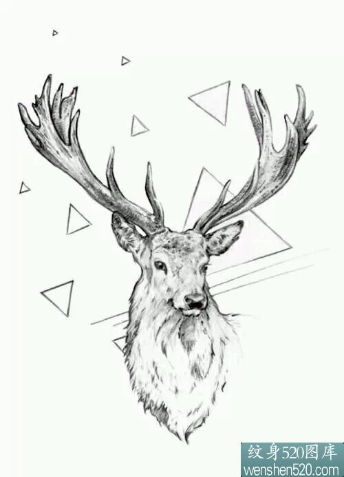 0张可爱好看的小鹿纹身手稿图案