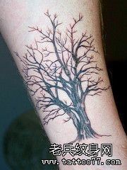 纹身520图库提供一组树纹身图案
