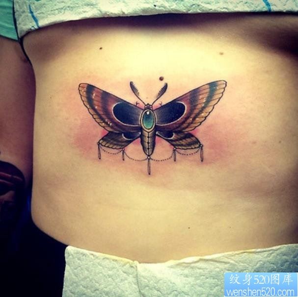 一款腹部彩色蛾子纹身图案