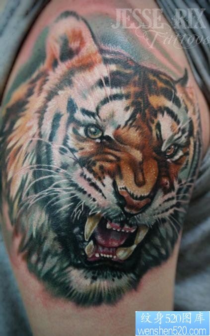 一款手臂彩色老虎头纹身图案