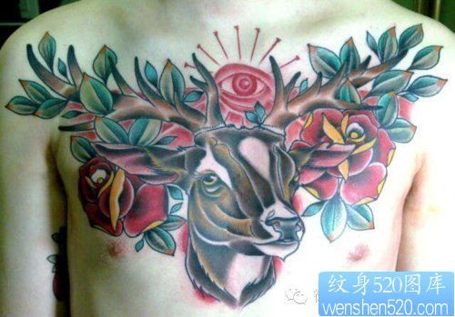 一组胸口个性彩色鹿纹身图案