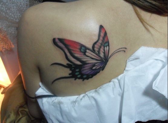 蝴蝶 女性小图纹身