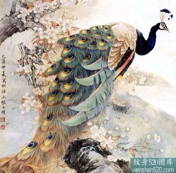 高贵清高，孤芳自赏孔雀纹身套图