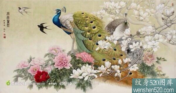 高贵清高，孤芳自赏孔雀纹身套图
