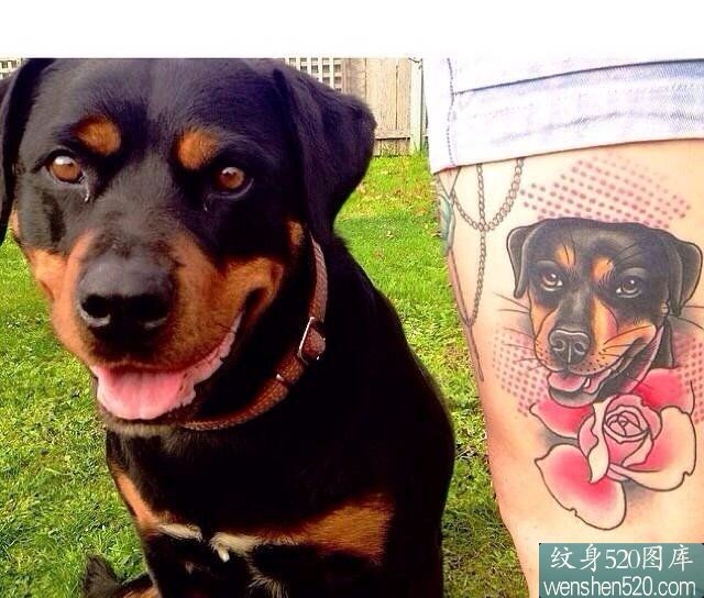 7张忠诚可爱的小狗纹身套图