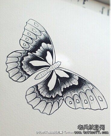 一款素描蝴蝶纹身手稿图案