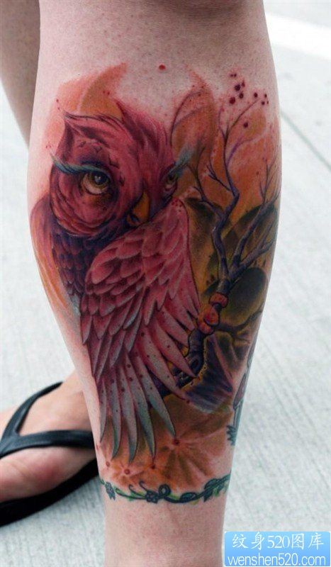 腿部彩色猫头鹰纹身图案