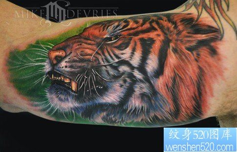 一款手臂老虎纹身图案