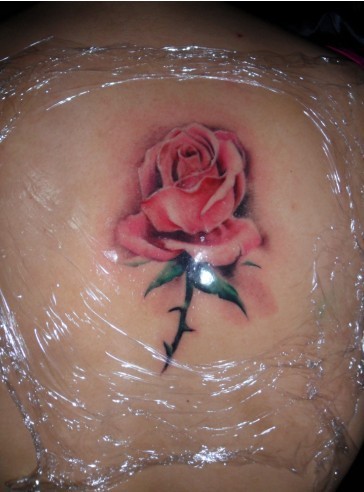 背部纹身：一支玫瑰纹身图案