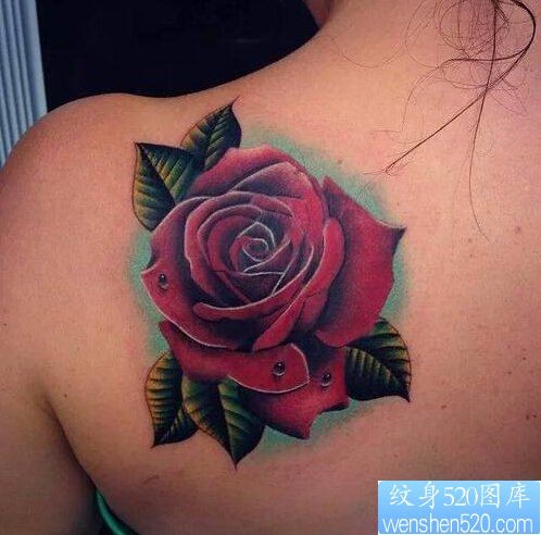 背部滴水玫瑰纹身图案