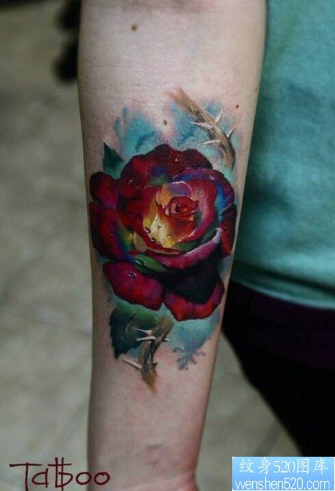 一款手臂彩色玫瑰花纹身图案
