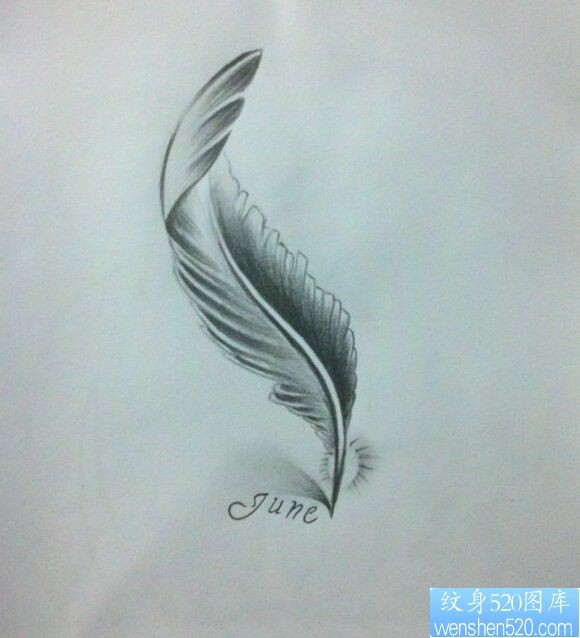 一款羽毛纹身手稿图案