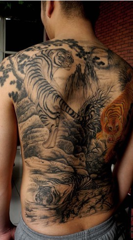 男士背部超酷的三只老虎纹身图案