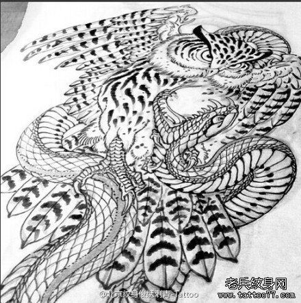 一款猫头鹰蛇纹身手稿图案