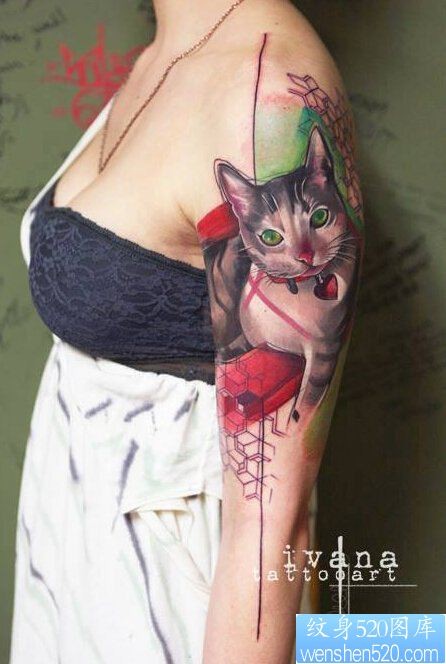 一款女性手臂彩色猫纹身图案