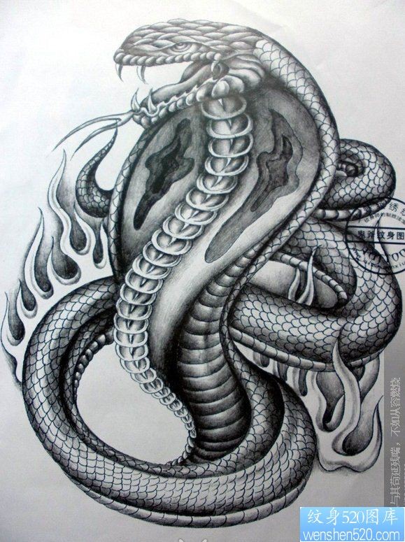 一组黑灰素描蛇纹身图案