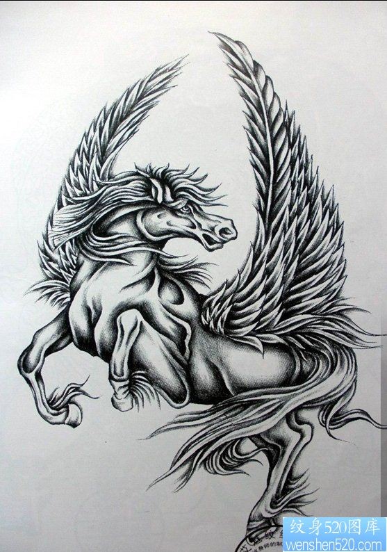 一款马翅膀纹身图案