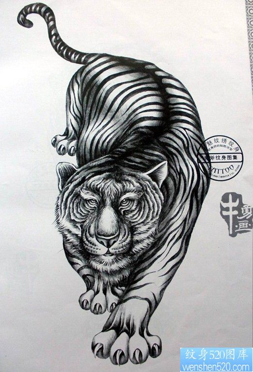 一款素描老虎纹身图案