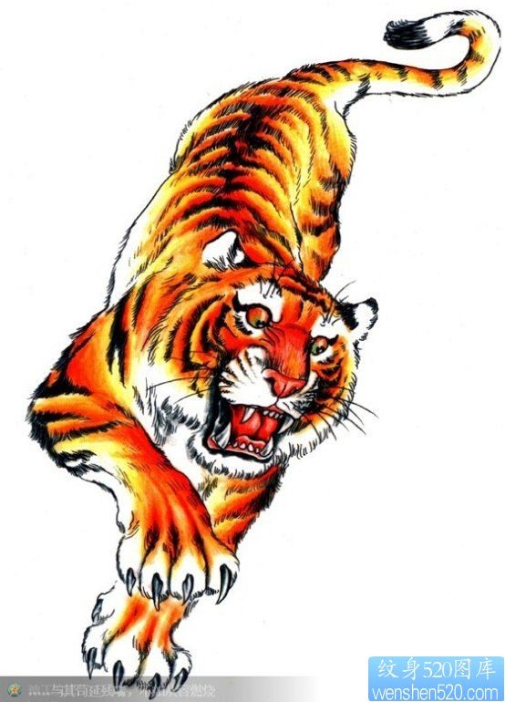 一款彩色老虎纹身图案