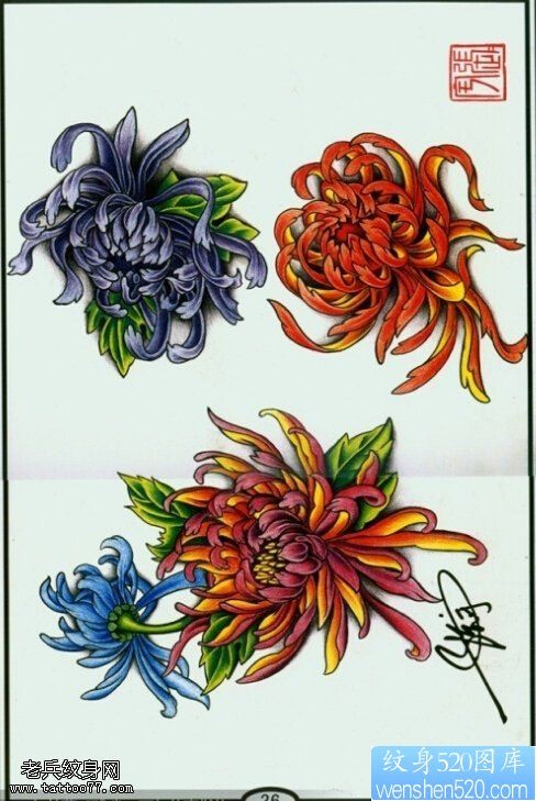 一款彩色菊花纹身手稿图案