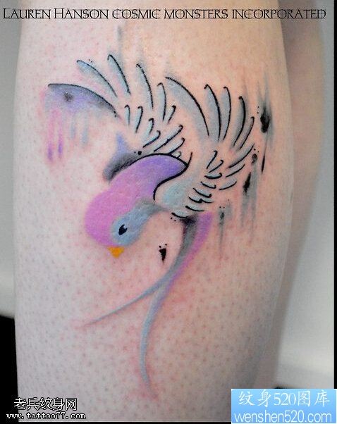 一款手臂彩色蜂鸟纹身图案