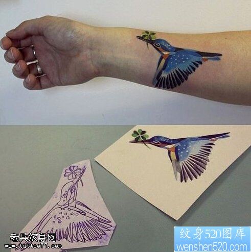 手臂彩色蜂鸟纹身图案