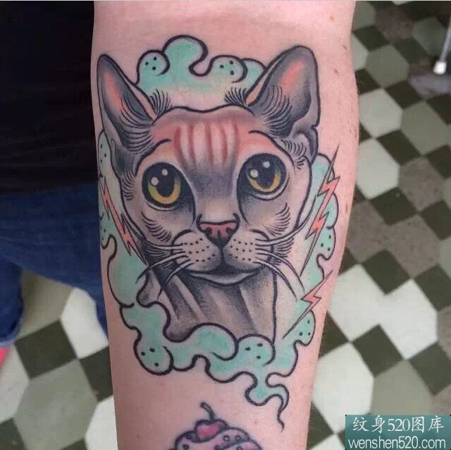 一组可爱色彩鲜艳的小猫纹身套图