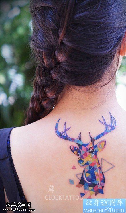 女性背部星空彩色羚羊纹身图片