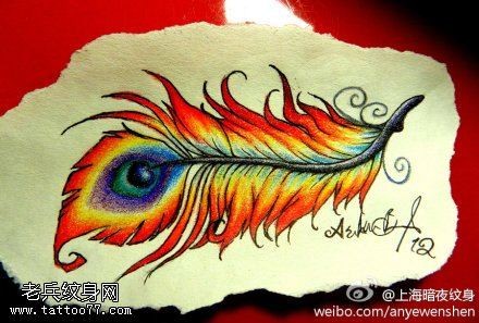 彩色孔雀羽毛纹身手稿图片