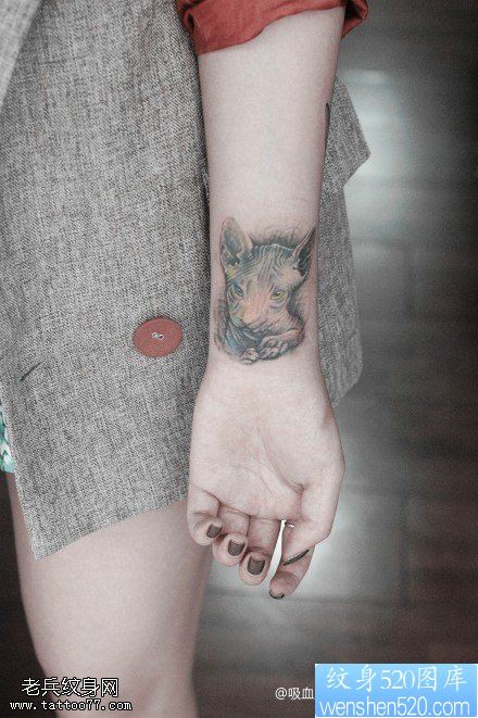 一款女性手腕斯芬克斯猫咪纹身图案