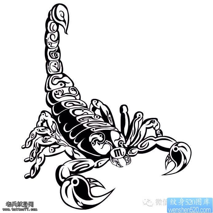 蝎子纹身手稿图片
