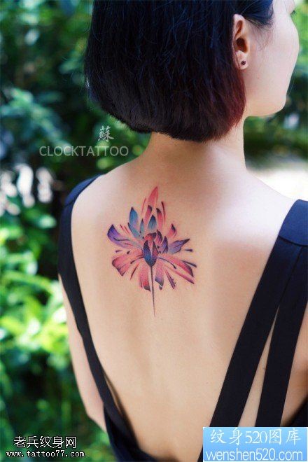 纹身520图库提供一款女性背部彩色莲花刺青图片