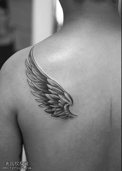 一款背部翅膀纹身图片