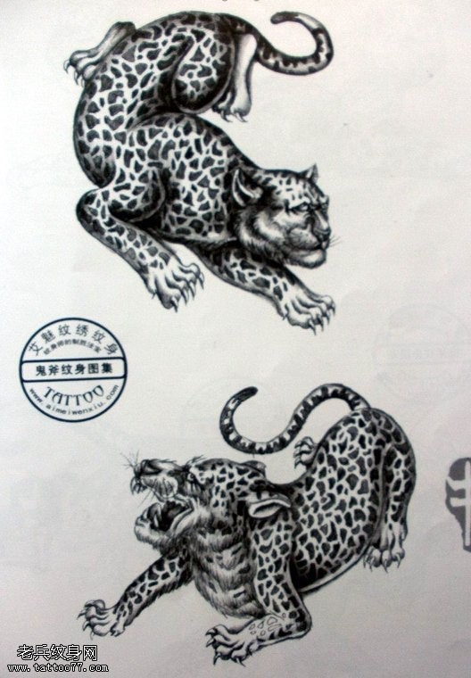 一款豹子纹身手稿图片