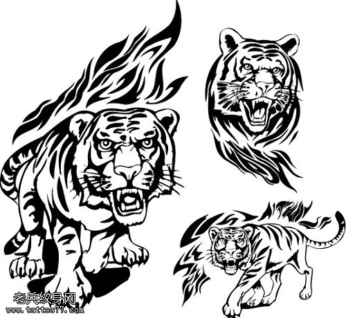 一款老虎纹身图片